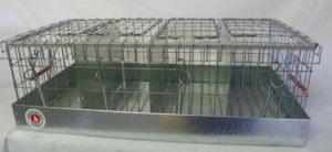 Cavy Transport Cage 4 Compartments